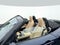 2026 Mazda Mazda MX-5 Miata Grand Touring