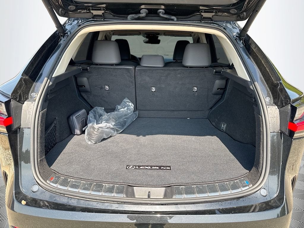 2023 Lexus NX NX 250