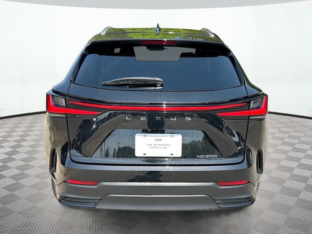 2023 Lexus NX NX 250