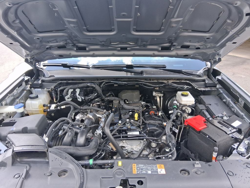 2024 Ford Ranger XL