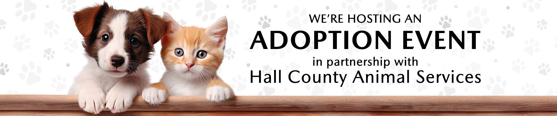 adoption event