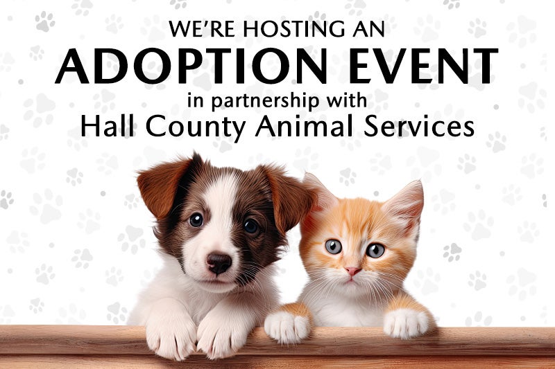 adoption event