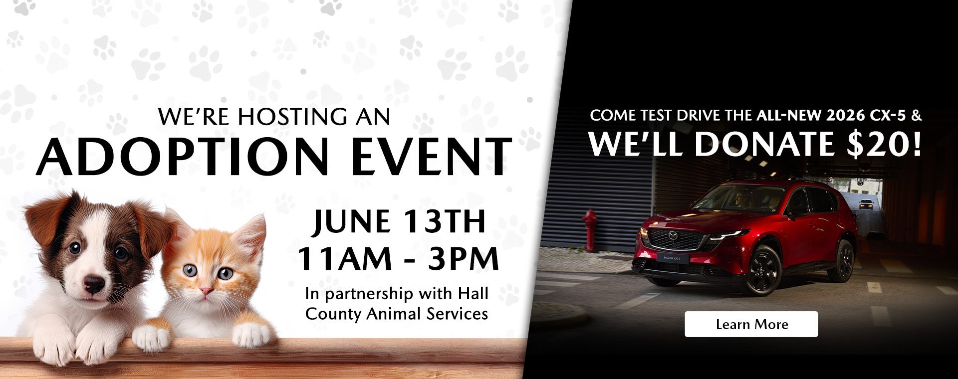 adoption event